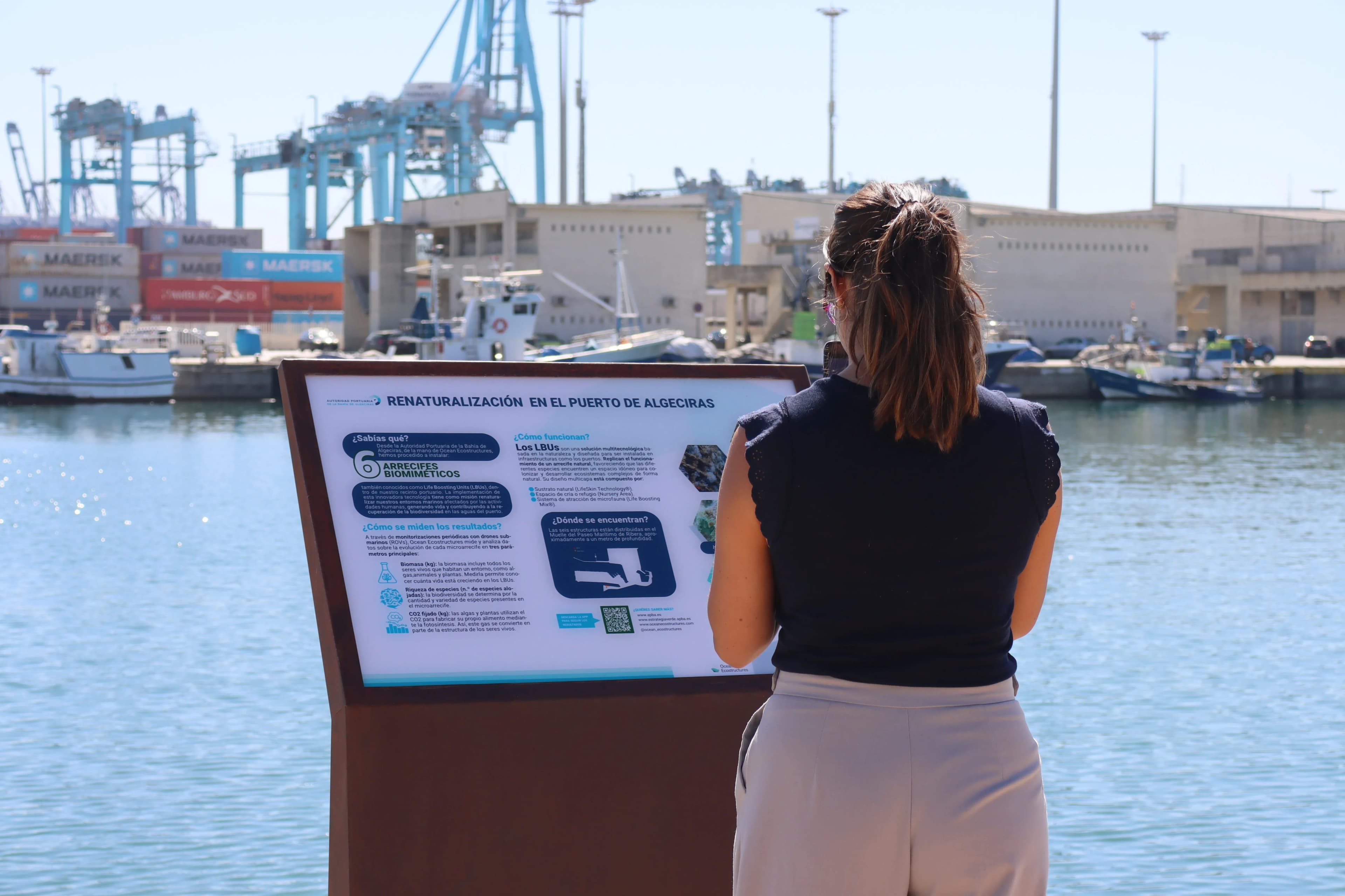 Los arrecifes biomiméticos del Puerto de Algeciras registran un aumento del 81 % en la biodiversidad diez meses después de su instalación