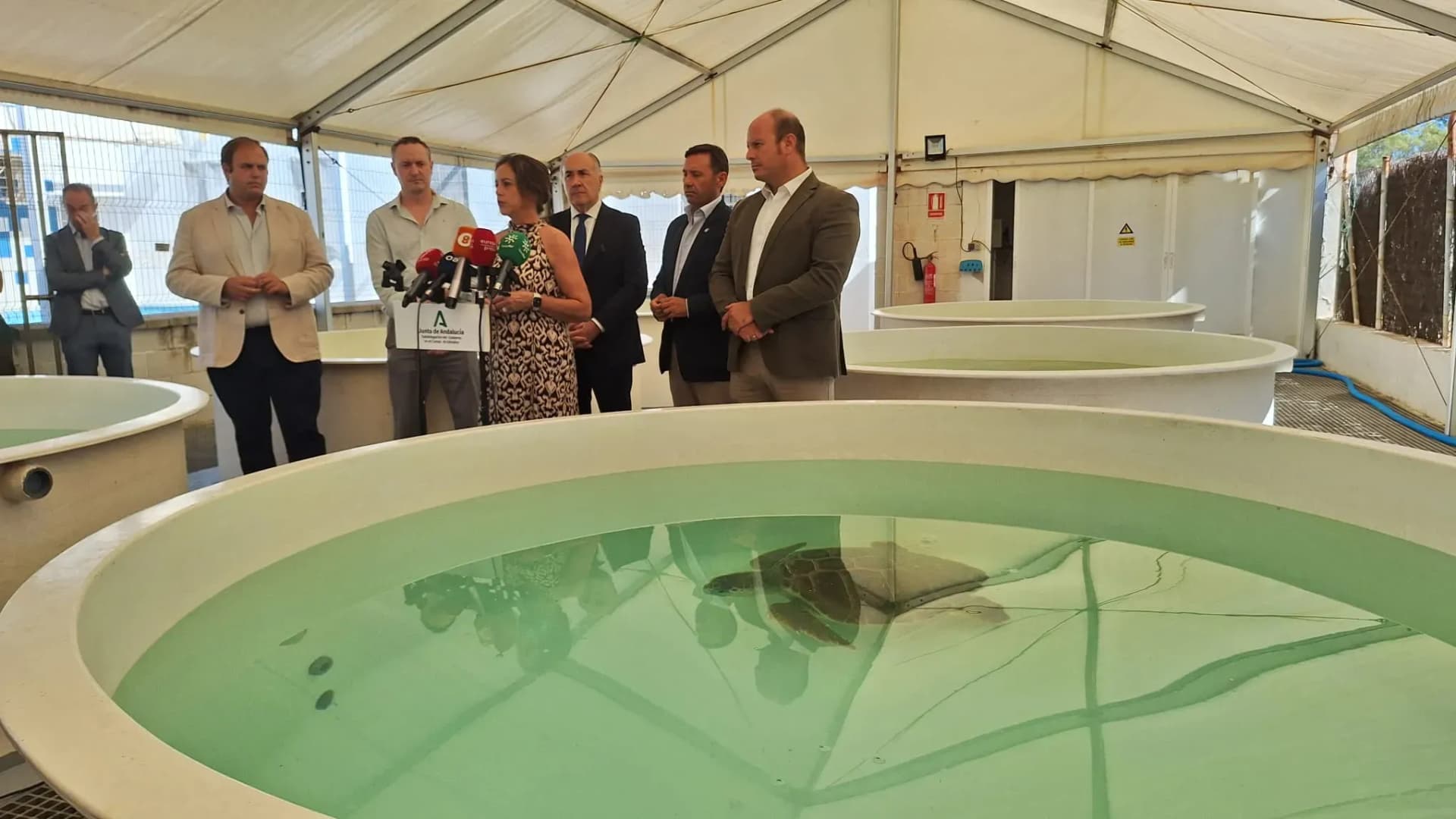 El CEGMA de Algeciras recibirá nuevos equipamientos para mejorar la atención a tortugas y mamíferos marinos