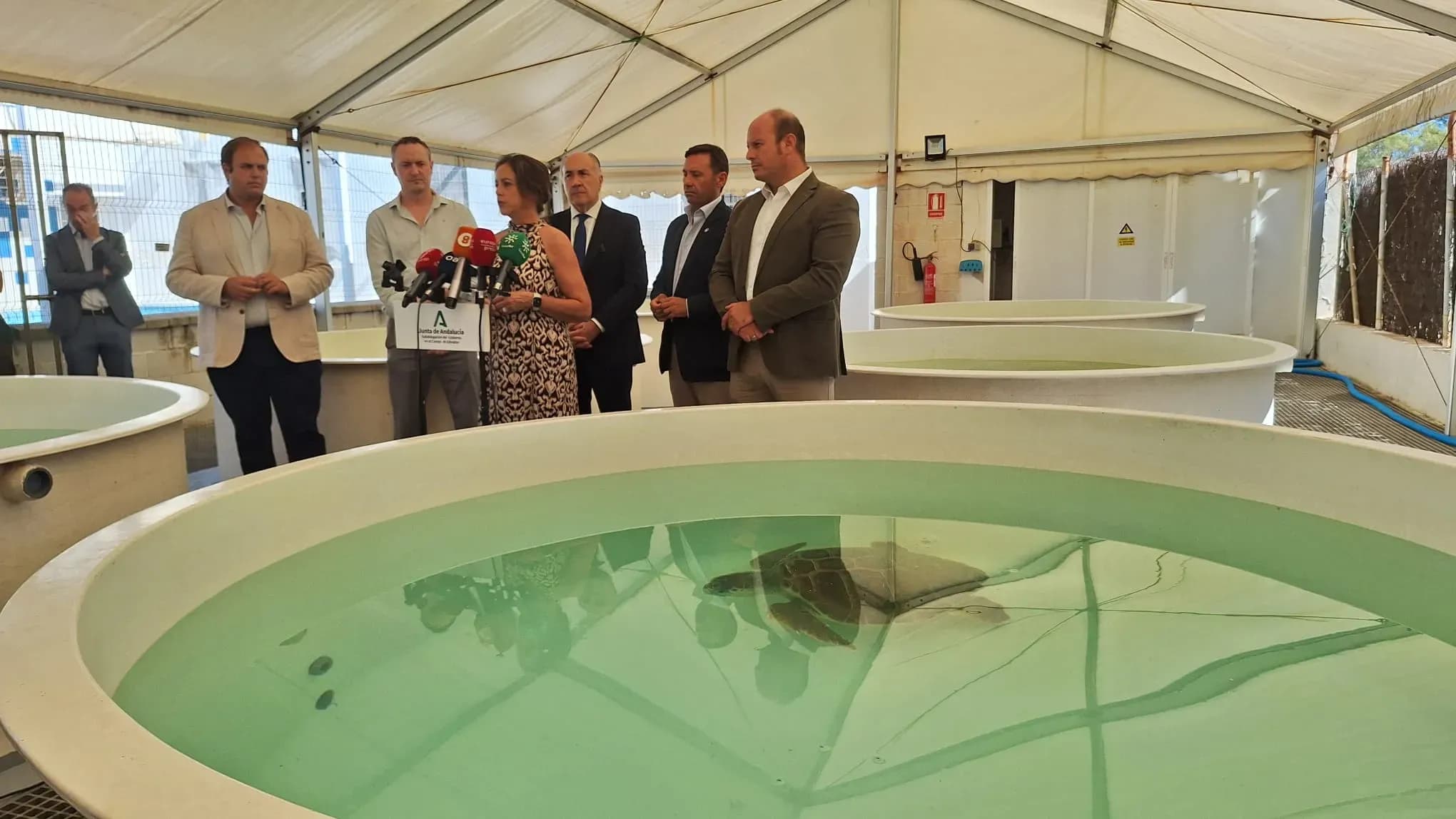 El CEGMA de Algeciras recibirá nuevos equipamientos para mejorar la atención a tortugas y mamíferos marinos