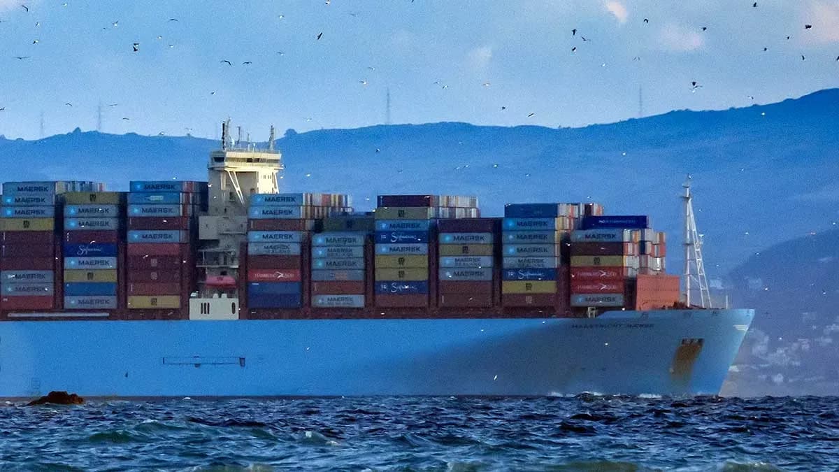 La Memoria 2024 de la Marina Mercante detalla un año de control técnico, servicio público y mayor actividad inspectora