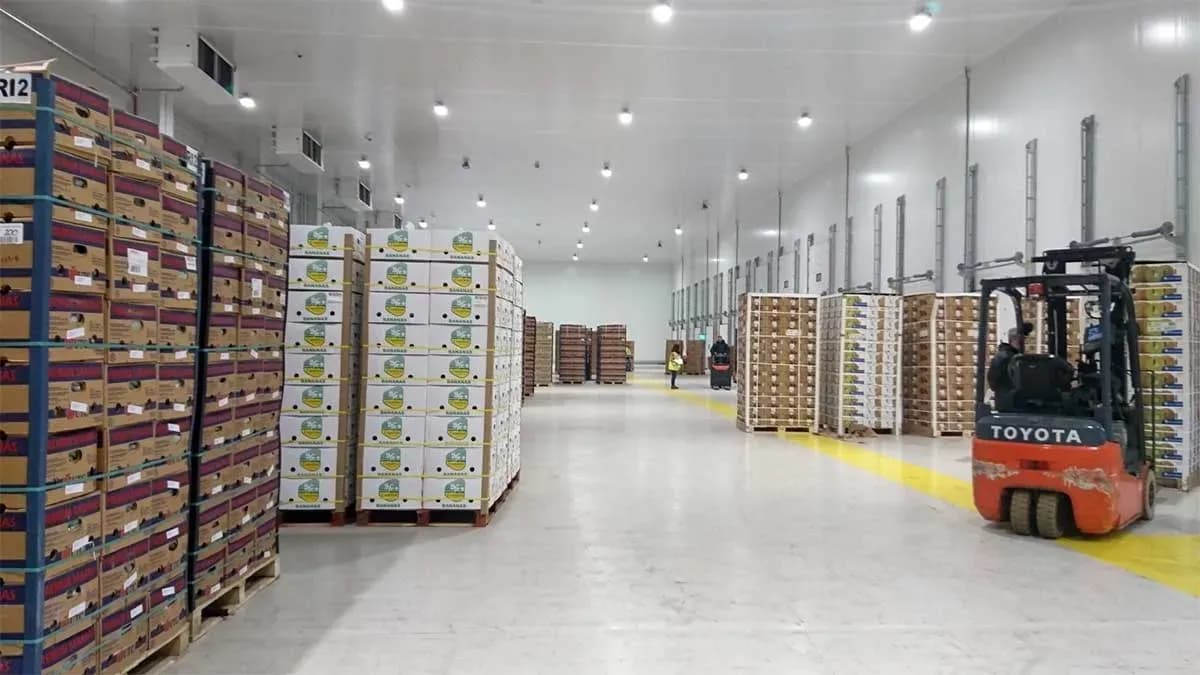 La importación española de frutas y hortalizas crece un 9% en volumen y un 14% en valor en el primer semestre