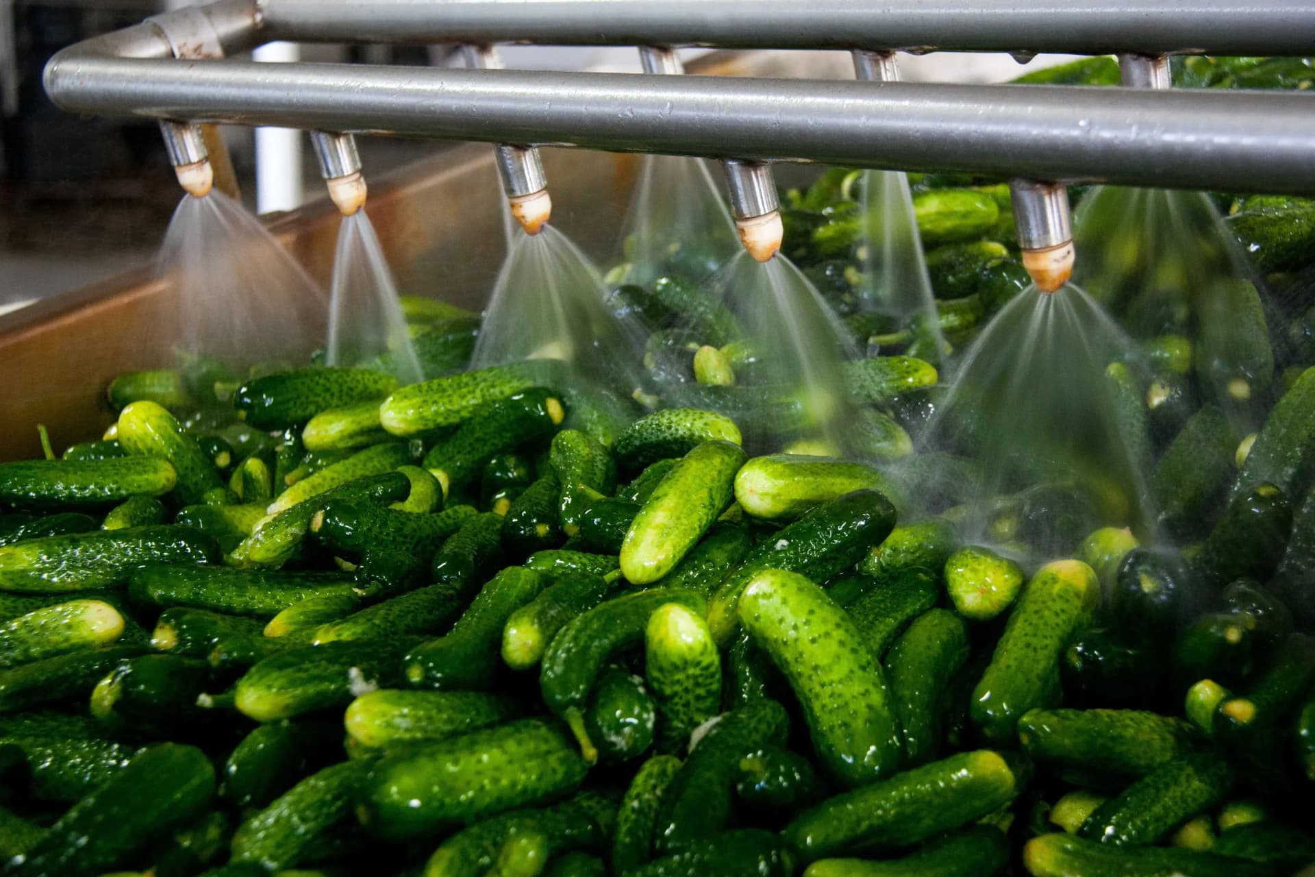 Andalucía lidera las exportaciones agroalimentarias con 8.165 millones hasta mayo