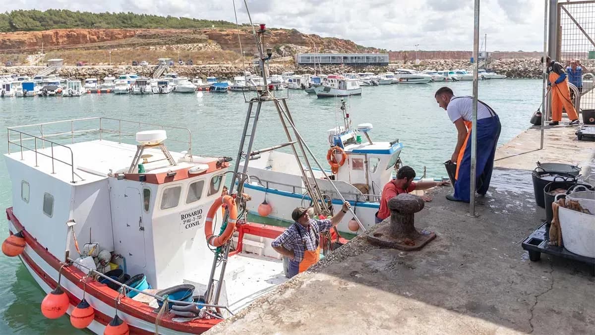 El sector pesquero artesanal de Conil pierde más de una cuarta parte de sus ingresos en el primer semestre de 2025