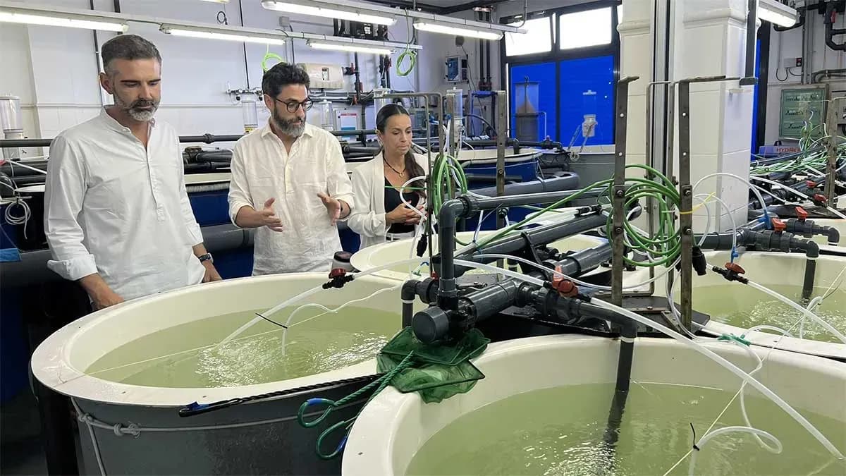 La Junta activa 4,25 millones en ayudas para el sector pesquero y acuícola andaluz