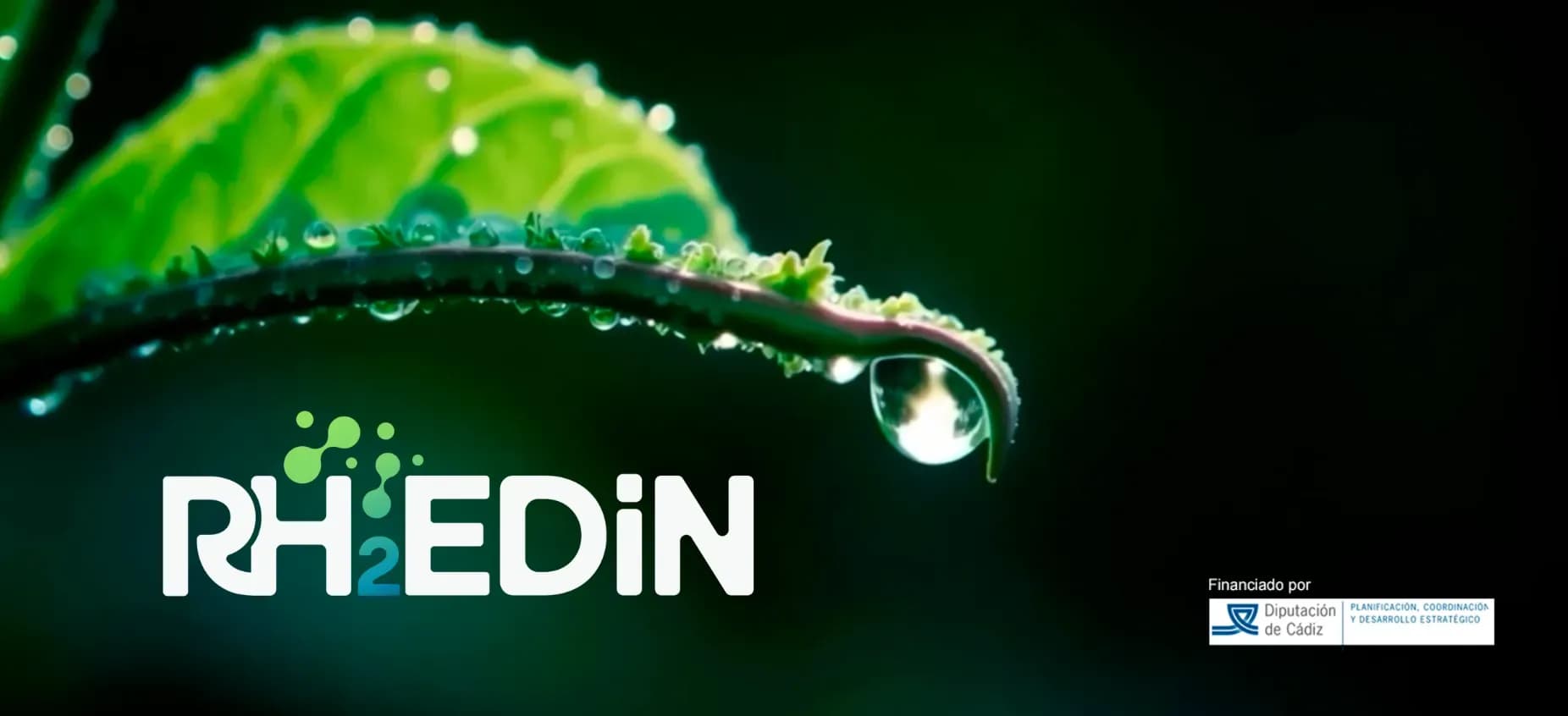 RH2EDIN 2025 activa su web oficial como punto de encuentro para el sector energético