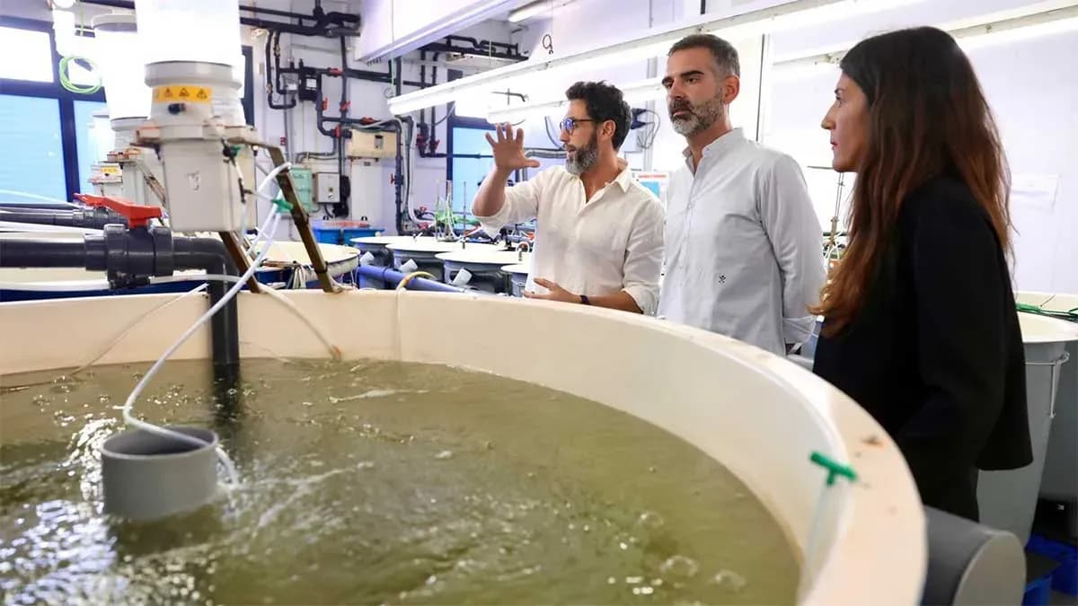 La Junta de Andalucía eleva a 7,6 millones las ayudas a inversiones productivas en acuicultura a partir de septiembre
