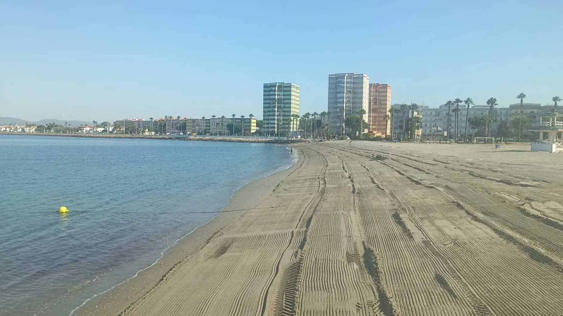 La Línea retira más de 10.000 kilos de algas invasoras en su litoral