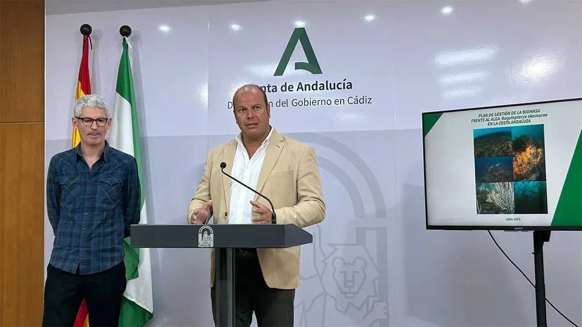 La Junta de Andalucía presenta un plan pionero para la gestión del alga invasora en la costa andaluza