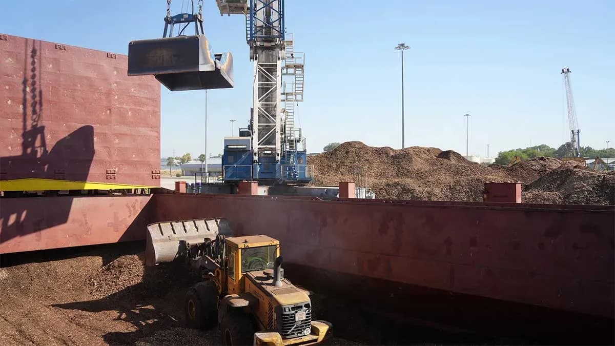El Puerto de Sevilla afianza su papel logístico en la cadena de valor de la biomasa