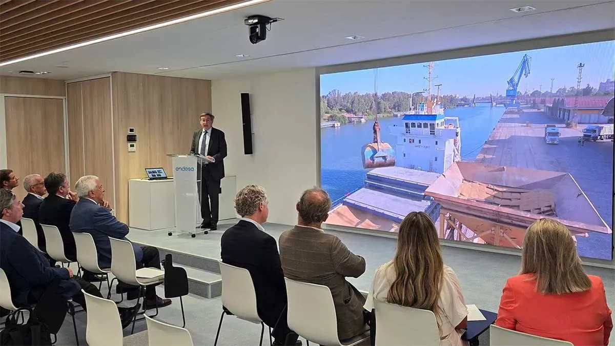 El Puerto de Sevilla y Endesa desarrollan una nueva infraestructura eléctrica para atender los futuros usos en la margen izquierda de la dársena