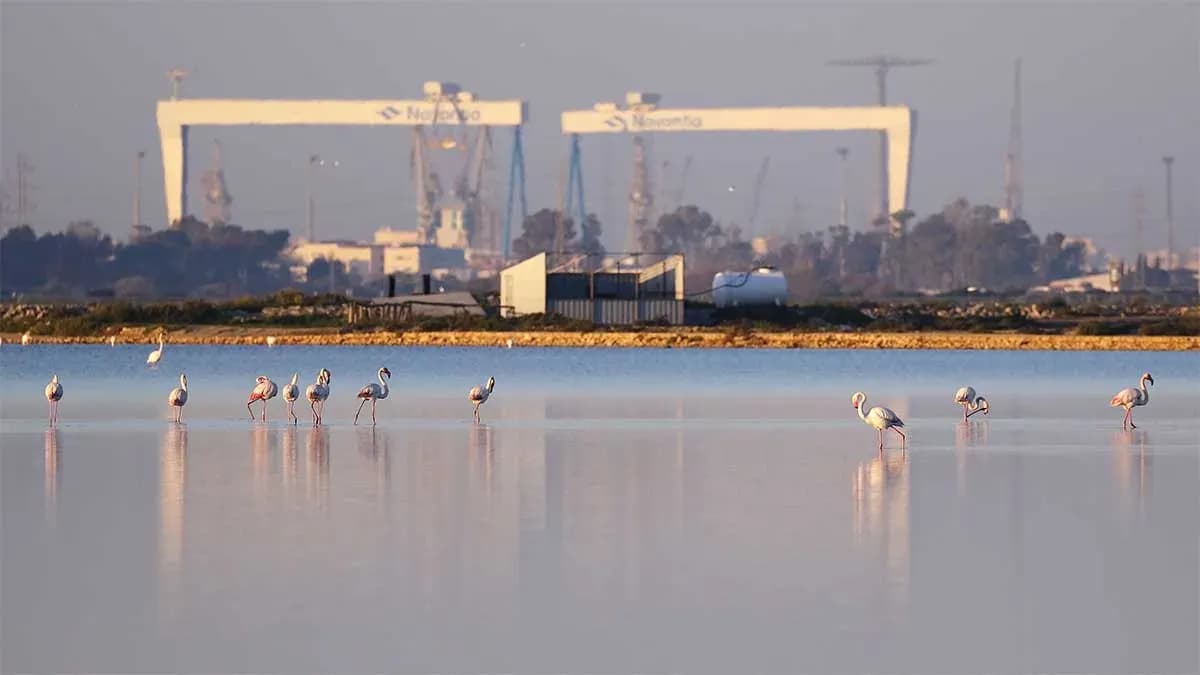 Navantia reduce un 41% su huella de carbono desde 2018