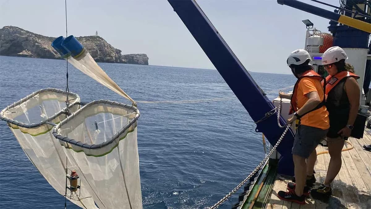 El IEO inicia una nueva campaña de investigación para evaluar la abundancia del atún rojo en el Mediterráneo occidental