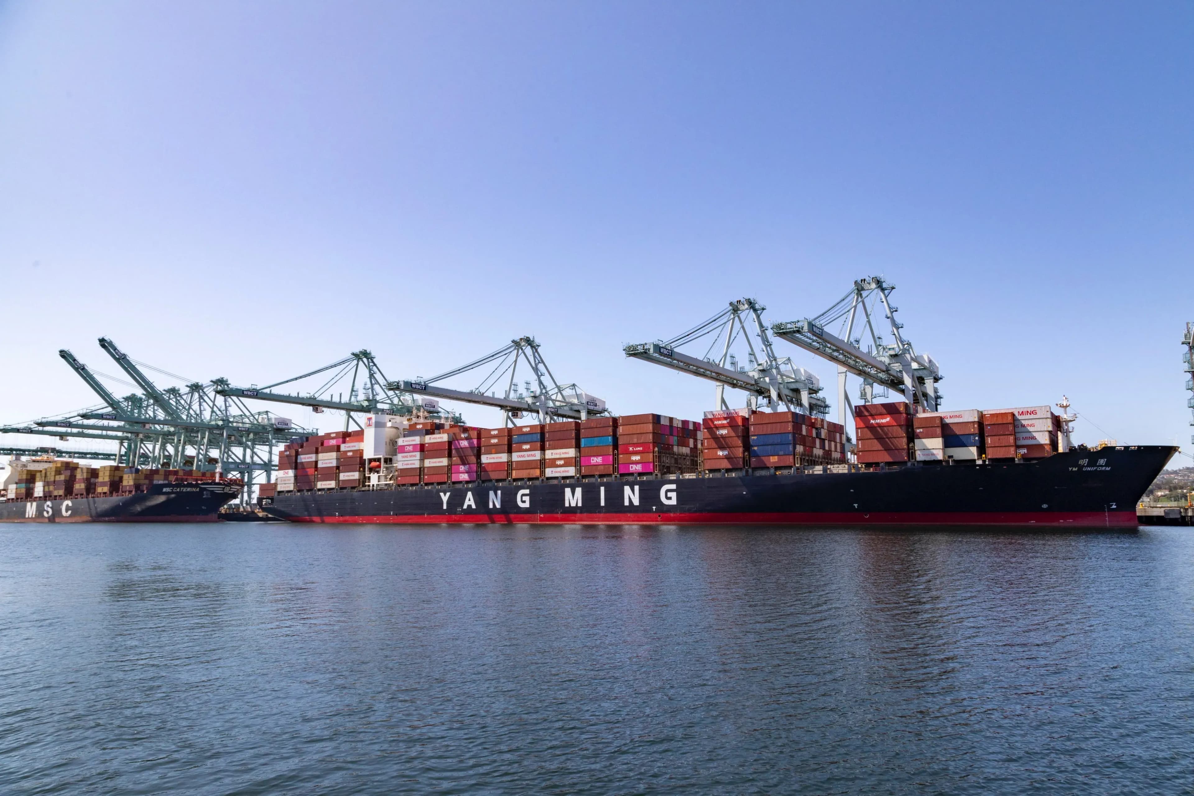 Yang Ming raises its net profit to 230 million dollars in the first half of 2026