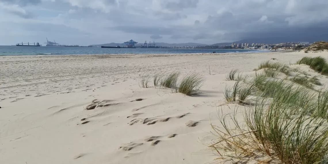 Salvemos Rinconcillo exige al Gobierno una fecha concreta para la regeneración de la playa