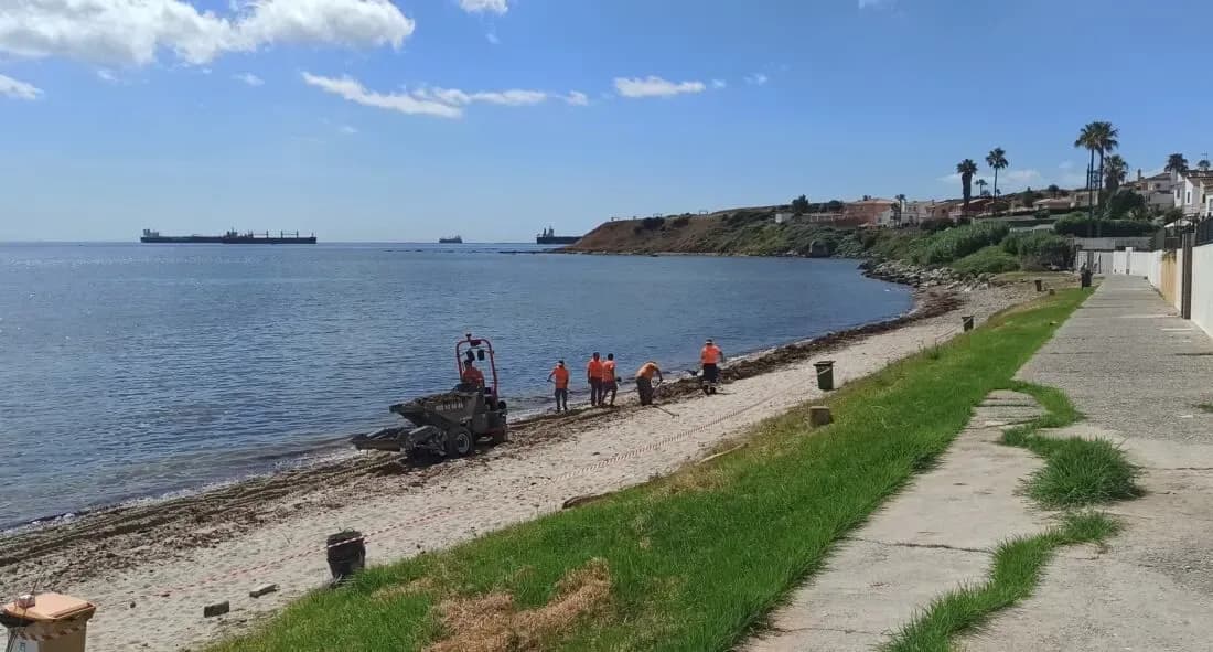 La Autoridad Portuaria de la Bahía de Algeciras licita la retirada de algas invasoras en Tarifa y Algeciras