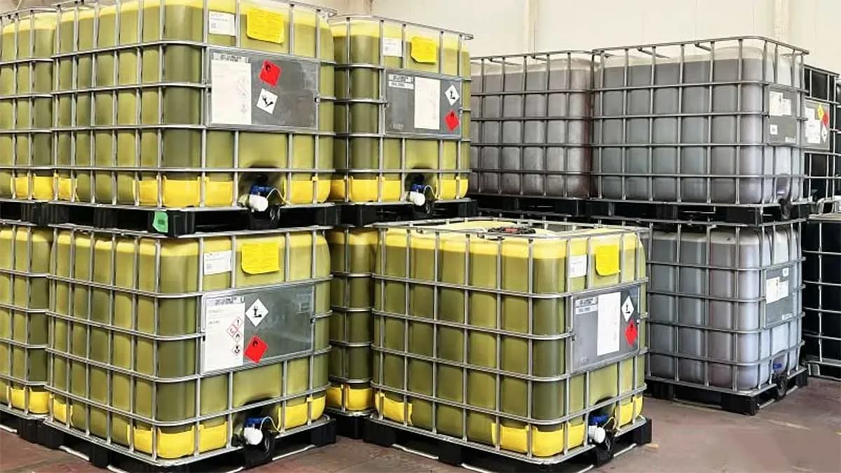 End To End Logistic consolida su operativa en Algeciras con un centro especializado en almacenamiento y gestión de mercancías