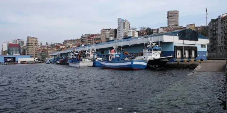 CCOO convoca una huelga indefinida de inspectores de pesca a partir del 3 de marzo