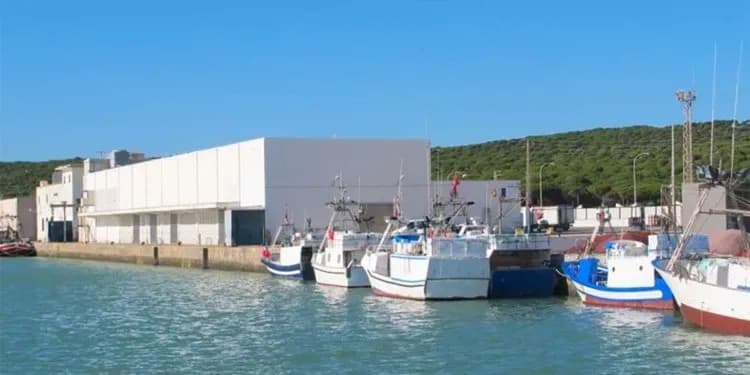La Junta de Andalucía adjudica los contratos de autoprotección de los puertos andaluces