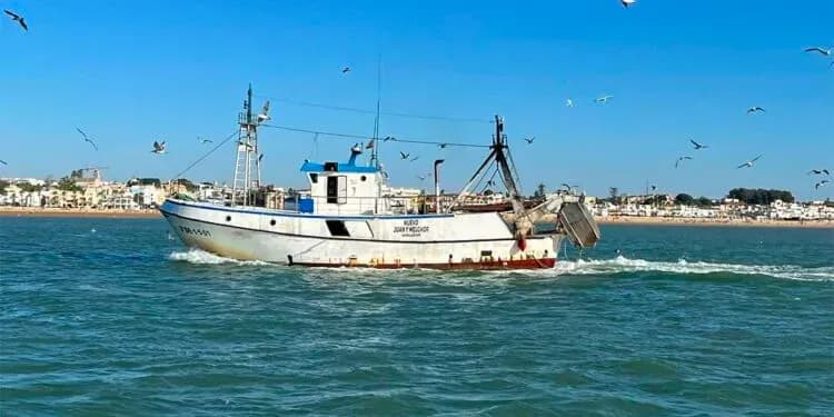 La Junta de Andalucía destina más de 3,2 millones de euros a compensar las paradas temporales de la flota pesquera y marisquera