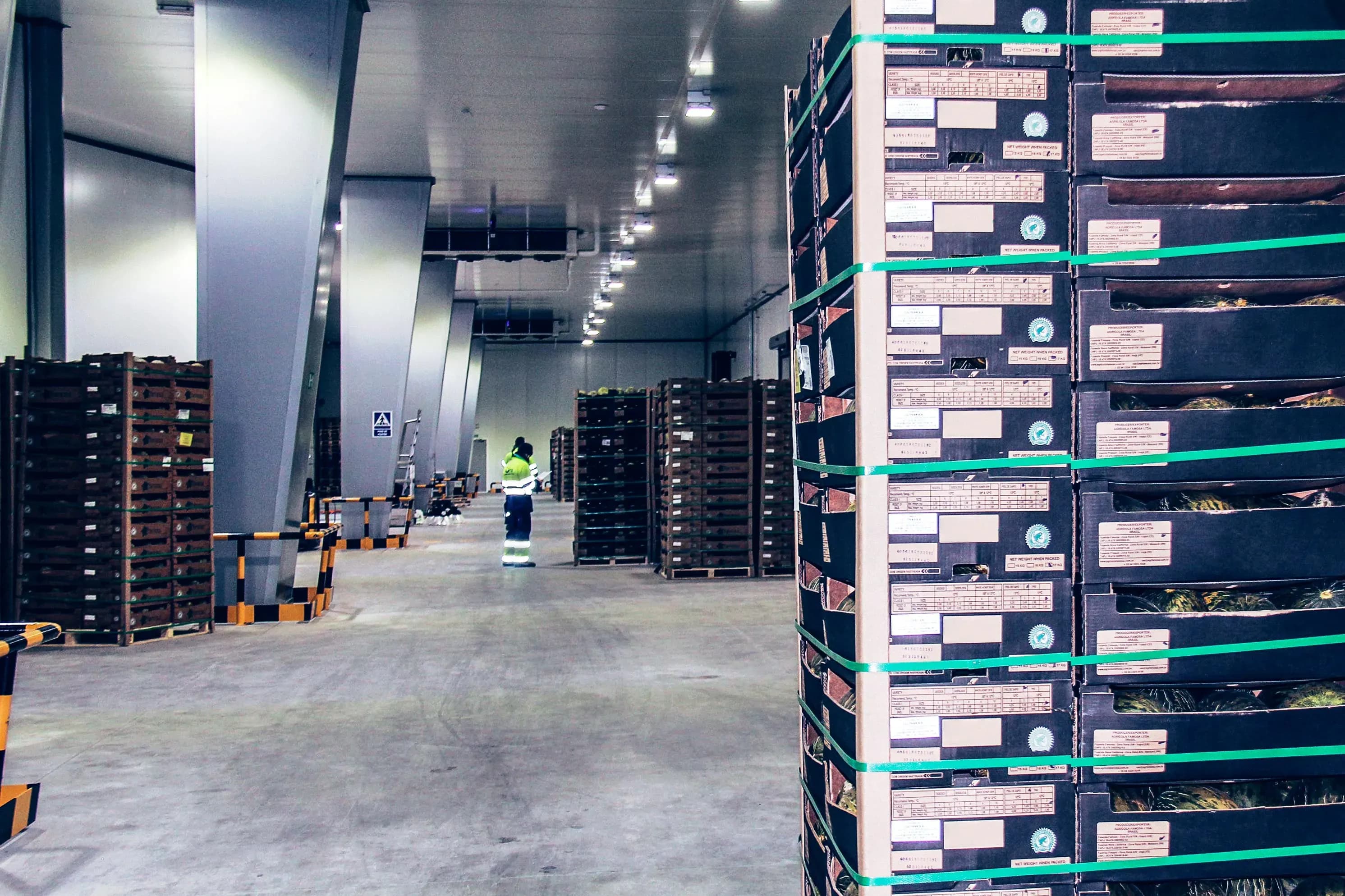SAM Algeciras refuerza su política de calidad y seguridad al obtener el certificado IFS Logistic