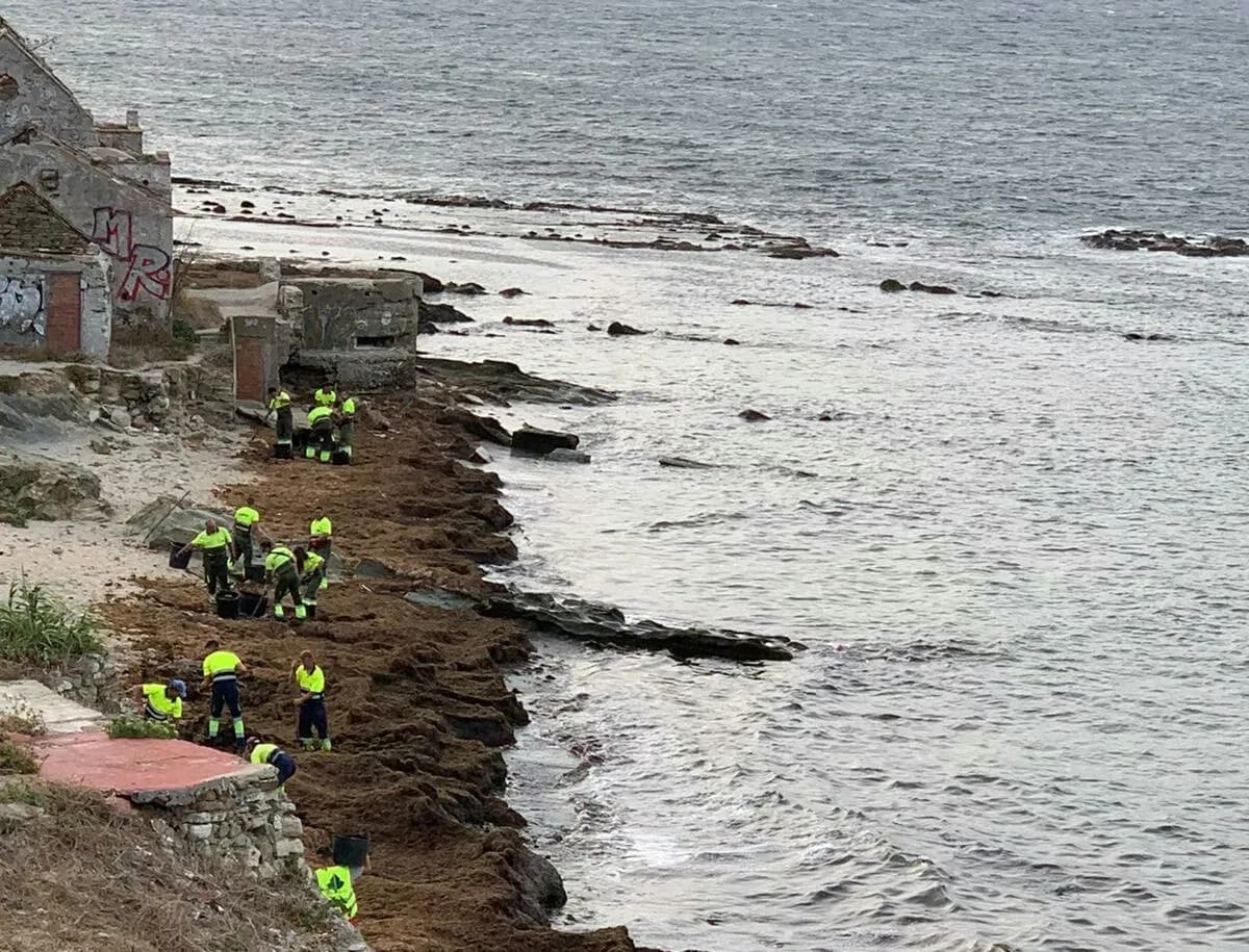 La APBA lleva a cabo la retirada de algas de La Caleta, en Tarifa