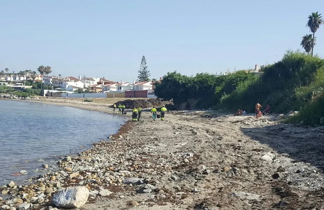 La APBA da por concluida la retirada de algas en la playa de El Chinarral