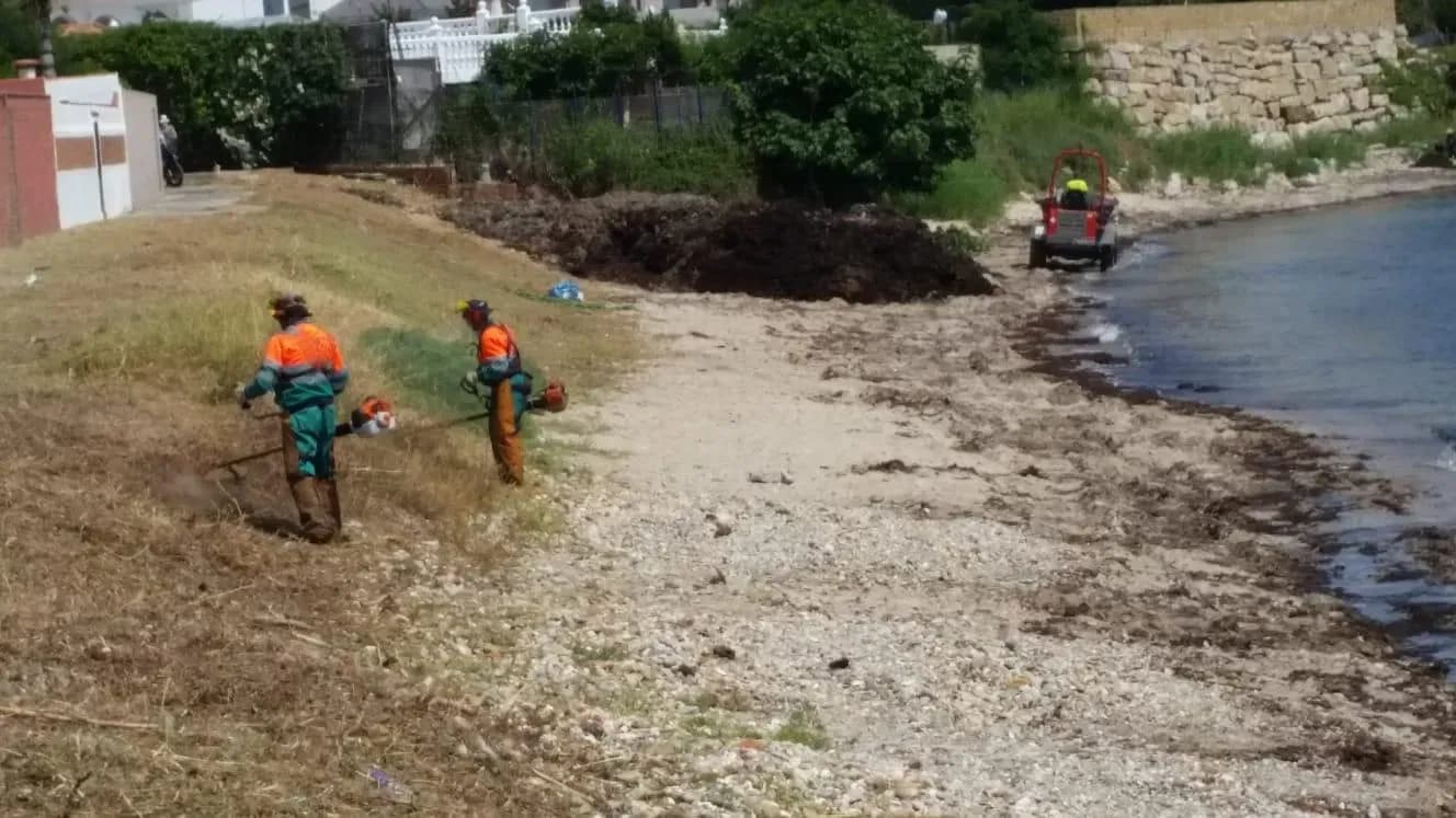 El Ayuntamiento de Algeciras adecenta la playa de “El Chinarral”