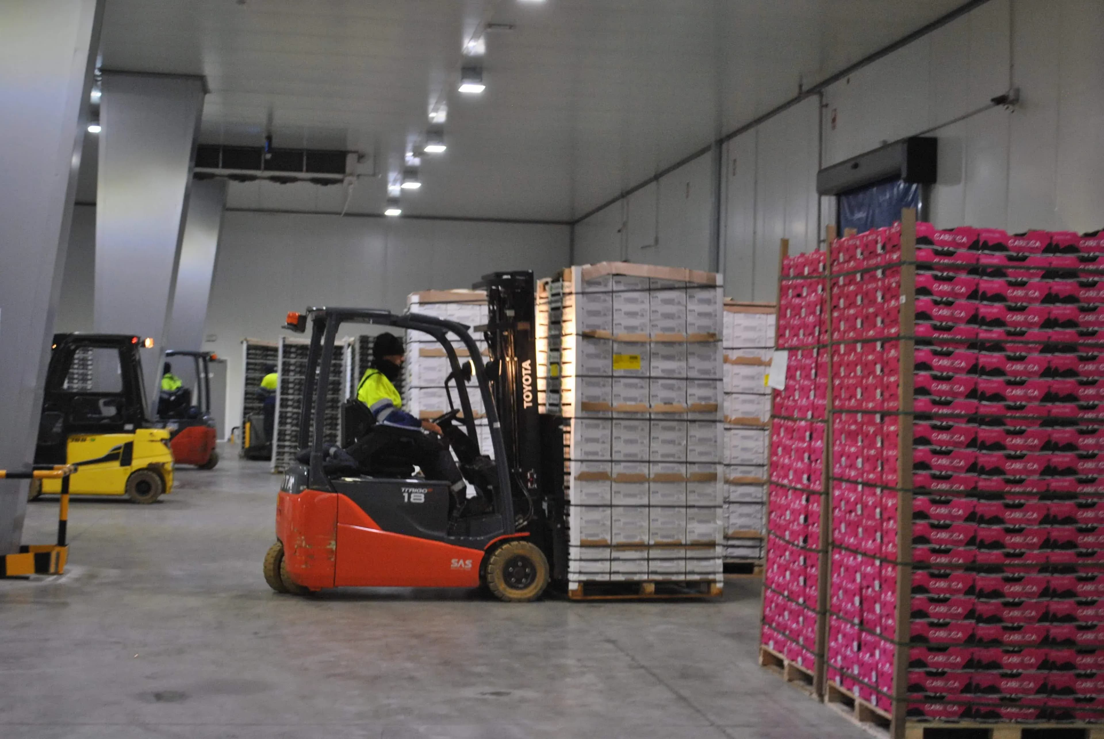 SAM Algeciras aumenta su oferta de almacenamiento en frío con su nueva certificación para productos ecológicos