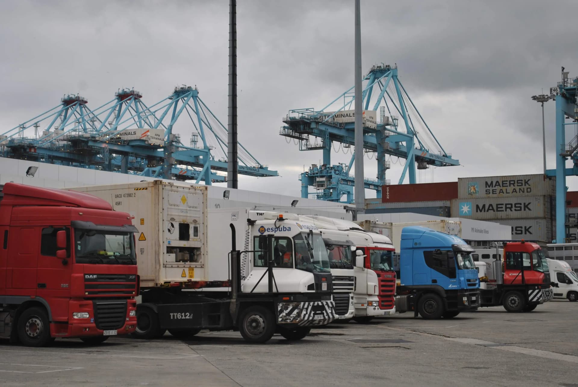 Los agentes de aduanas solicitan medidas ante las deficiencias en el control de las importaciones pesqueras