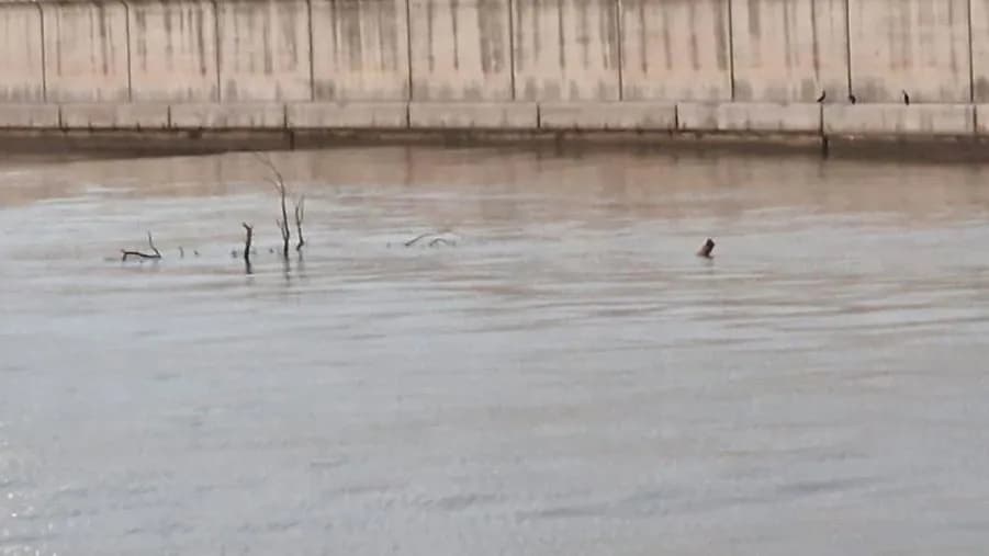 Restricciones a la navegación en la costa sur de Valencia por riesgos tras la DANA