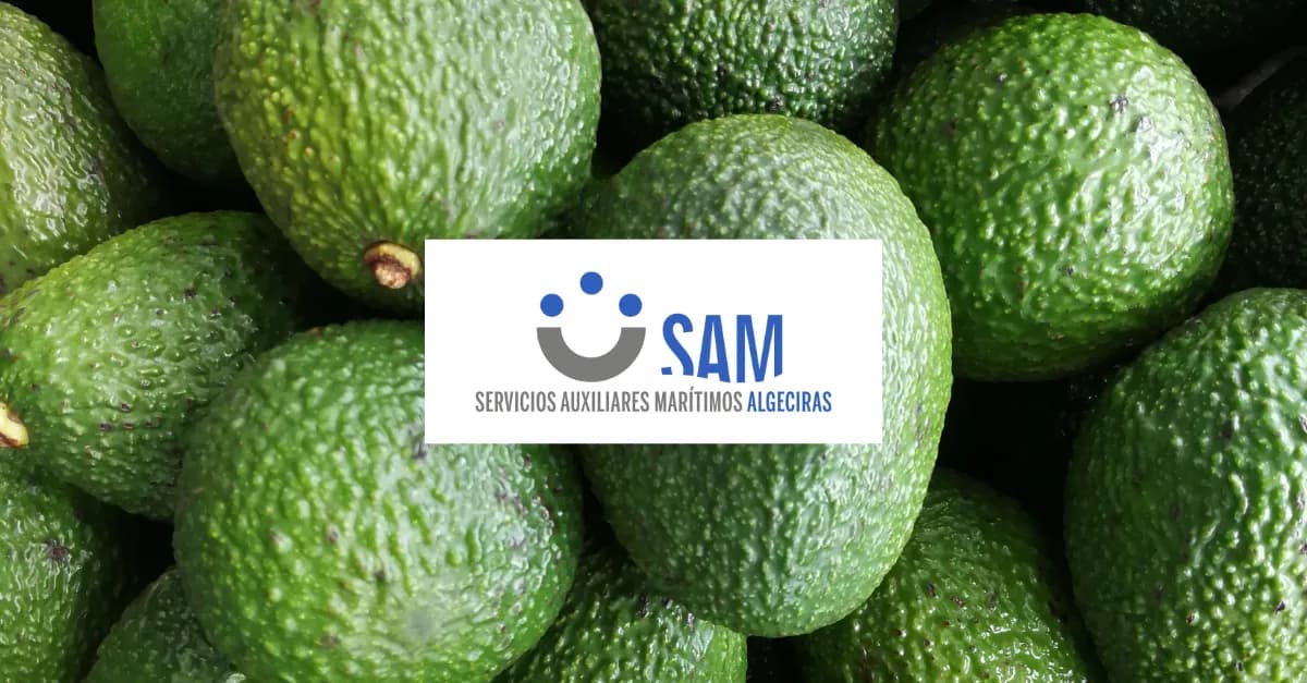 SAM Algeciras, referente en la importación y exportación de aguacates