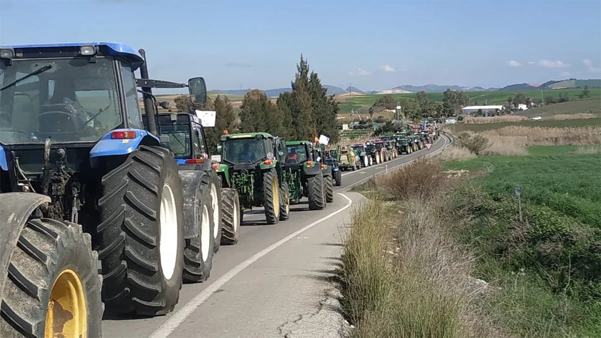 La movilización agraria en Cádiz se centra en el bloqueo del Puerto de Algeciras