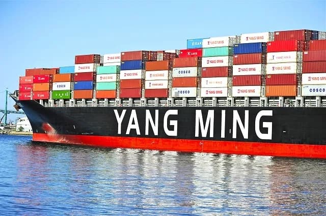 Yang Ming registra un crecimiento del 50% en ingresos del segundo trimestre de 2024