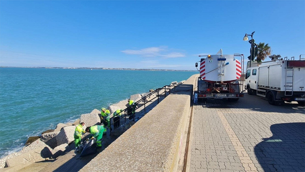 estrecho Señora Elevado El Puerto de Cádiz realiza tareas de limpieza en las escolleras de la Punta  de San Felipe