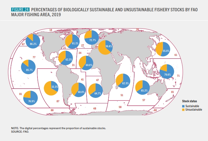 El 82,5% de los desembarques de productos de la pesca del mundo en 2019 procedió de poblaciones en buen estado biológico